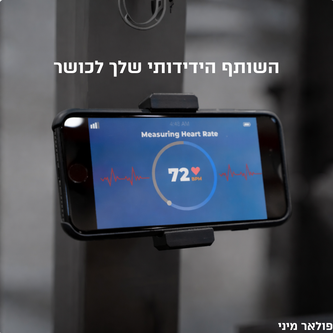 פולאר מיני